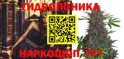 шишки Севастополь