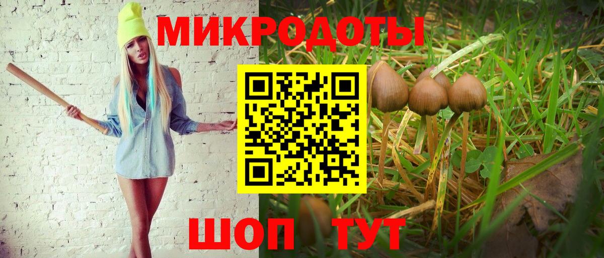где купить наркотик  Галлюциногенные грибы ЛСД  Вход с VPN  Псилоцибиновые грибы Cubensis  Новокубанск 
