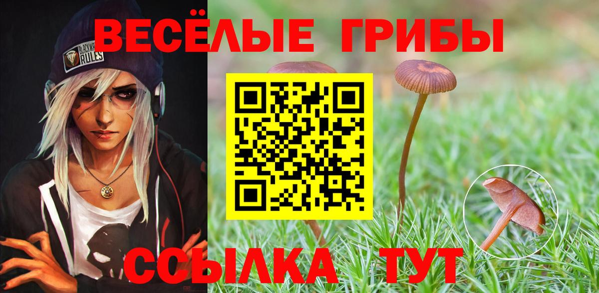 Галлюциногенные грибы ЛСД Новокубанск